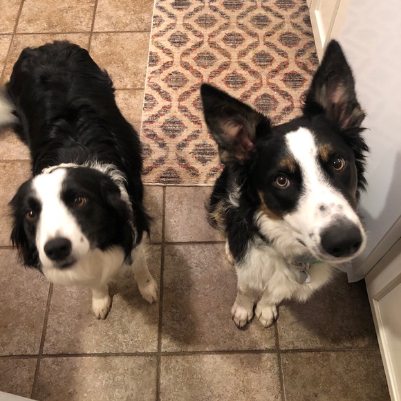 Meet your Posher, Jenny - Picture 2 of 3